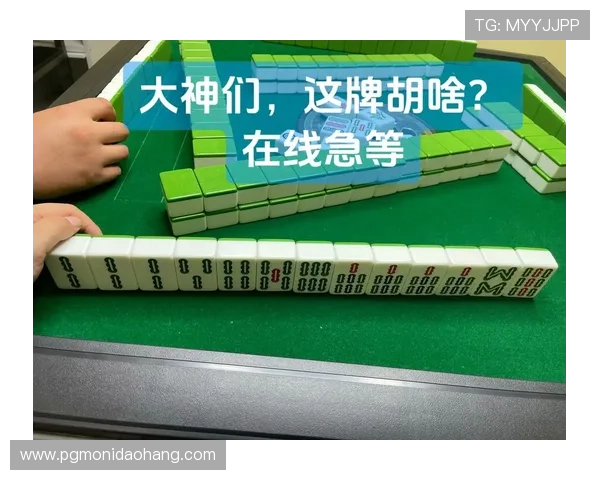 PG麻将胡了的常见问题与解决方案详尽解答帮助玩家排除游戏中遇到的难题